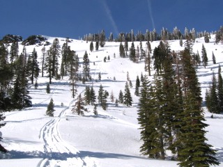 California Snowmobiling Reports and Information for the California Snowmobile Rider from Snow Tracks