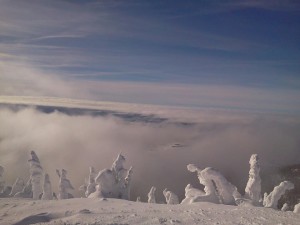 2014.01 Snow Pic3